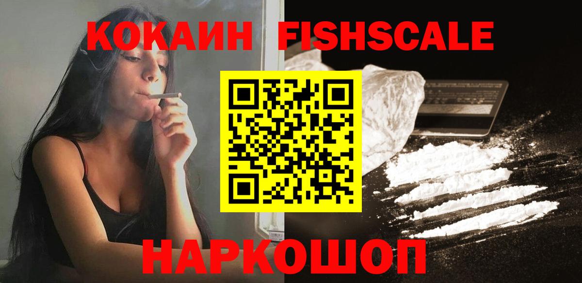 Гагарин  Cocaine Fish Scale  Вход с VPN  Cocaine Columbia 