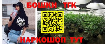 бошки Тула