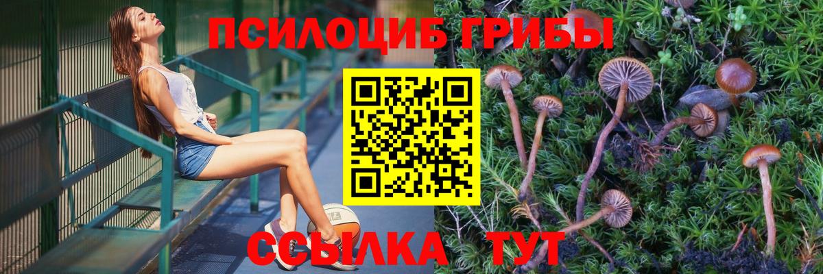 Гагарин  Псилоцибиновые грибы GOLDEN TEACHER  Галлюциногенные грибы мухоморы  Вход с VPN 